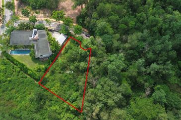 Jalan Rimba Riang 9/9