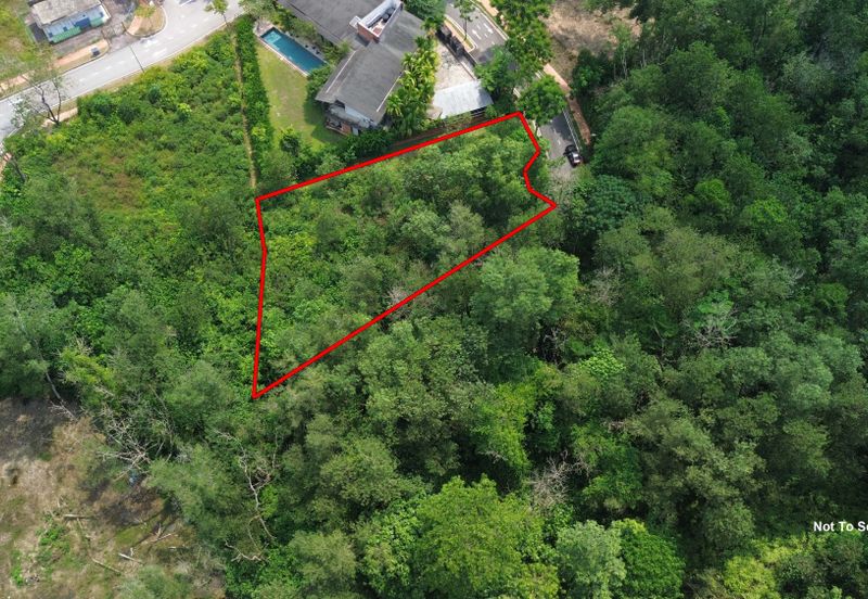 Jalan Rimba Riang 9/9