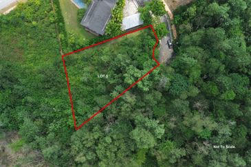 Jalan Rimba Riang 9/9