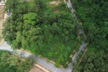 Jalan Rimba Riang 9/12