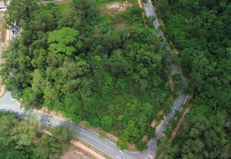 Jalan Rimba Riang 9/12