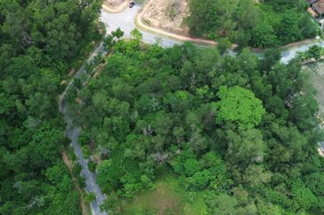 Jalan Rimba Riang 9/12