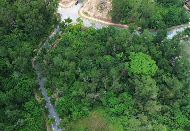 Jalan Rimba Riang 9/12