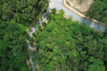 Jalan Rimba Riang 9/12