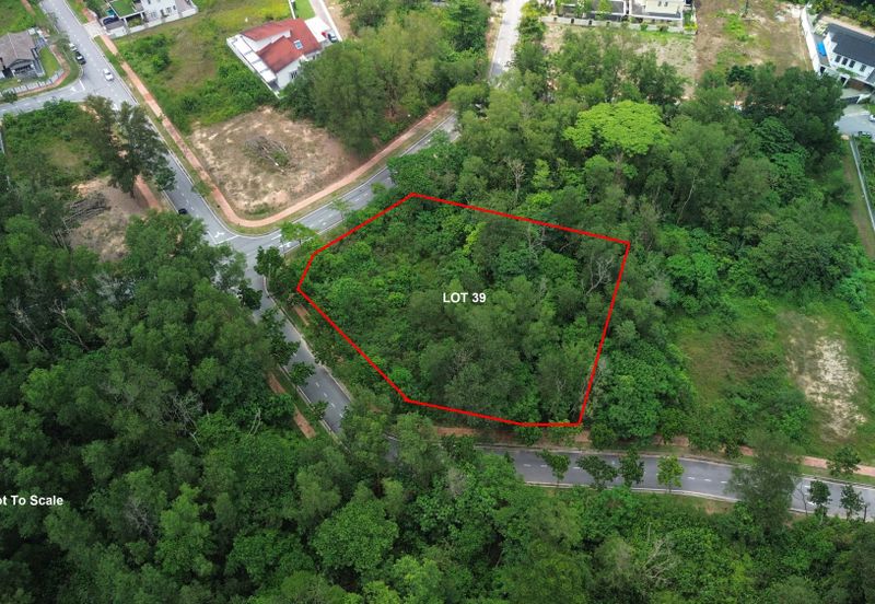 Jalan Rimba Riang 9/12