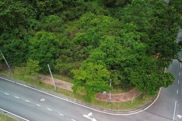 Jalan Rimba Riang 9/12