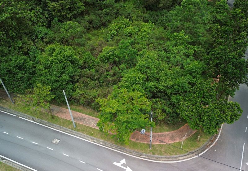 Jalan Rimba Riang 9/12