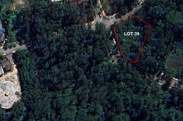 Jalan Rimba Riang 9/12