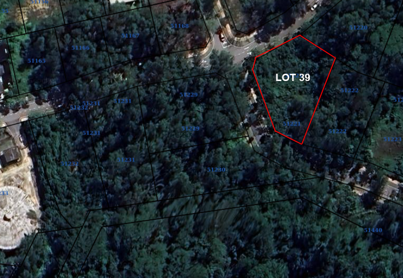 Jalan Rimba Riang 9/12