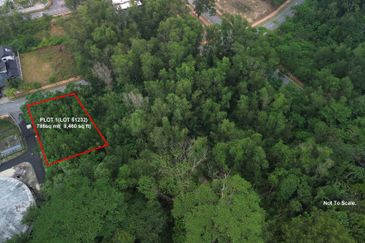 Jalan Rimba Riang 9/9