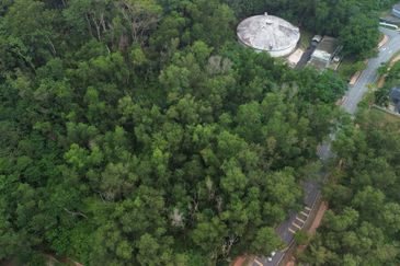 Jalan Rimba Riang 9/9