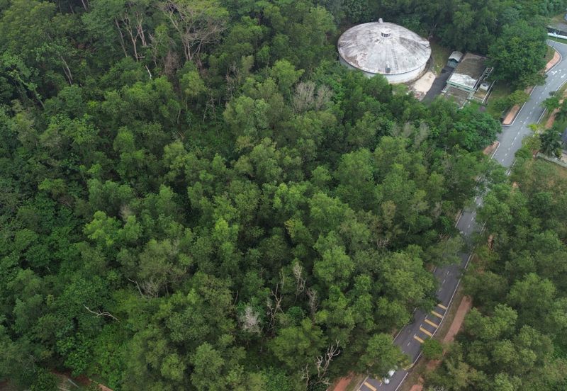 Jalan Rimba Riang 9/9