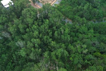 Jalan Rimba Riang 9/9