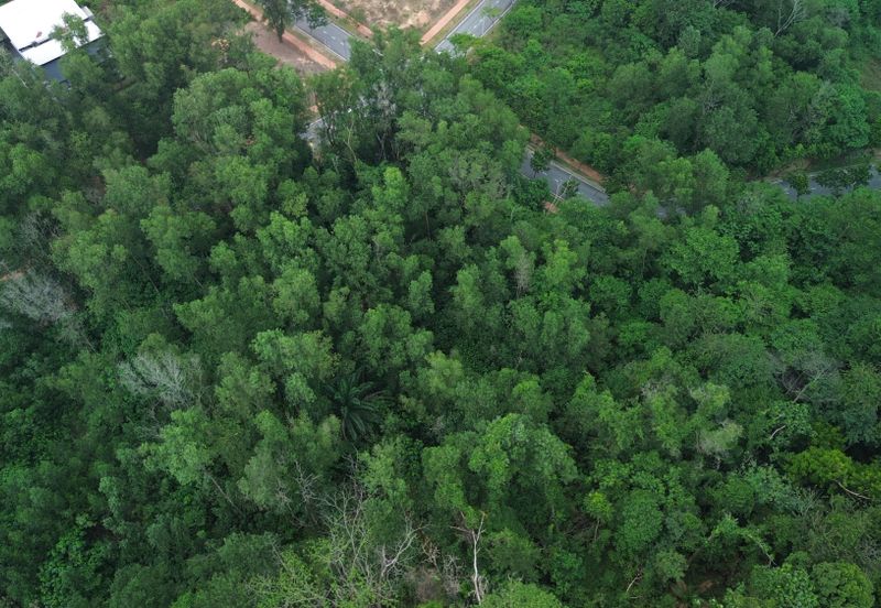 Jalan Rimba Riang 9/9