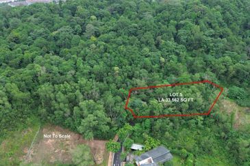 Jalan Rimba Riang 9/9