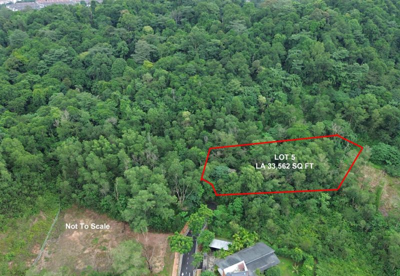 Jalan Rimba Riang 9/9