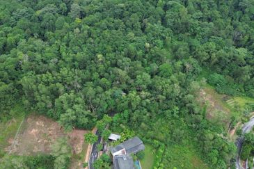 Jalan Rimba Riang 9/9