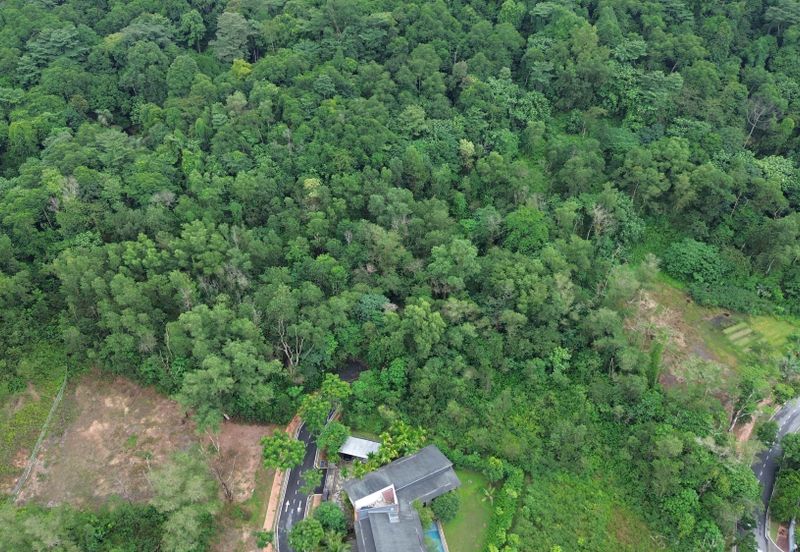 Jalan Rimba Riang 9/9