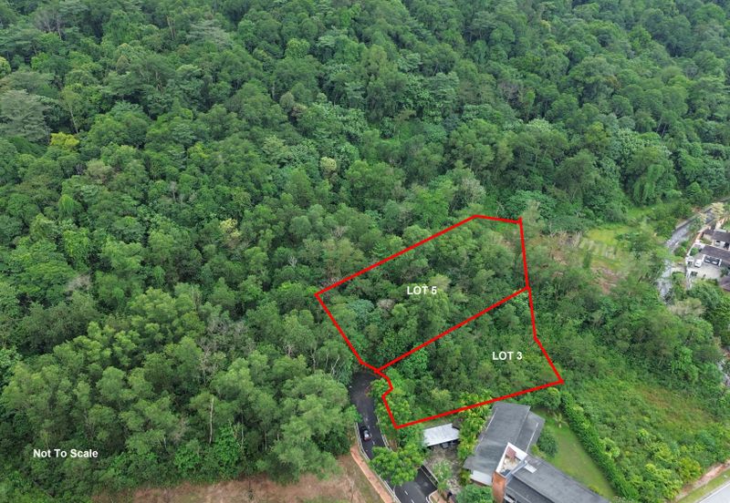 Jalan Rimba Riang 9/9