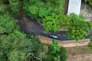 Jalan Rimba Riang 9/9