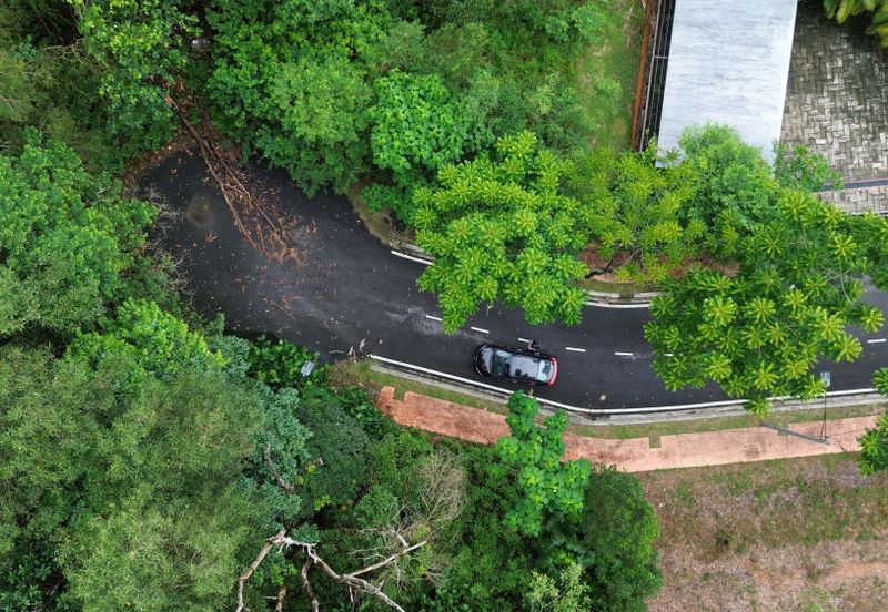 Jalan Rimba Riang 9/9