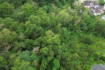 Jalan Rimba Riang 9/9