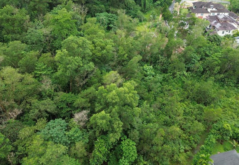 Jalan Rimba Riang 9/9