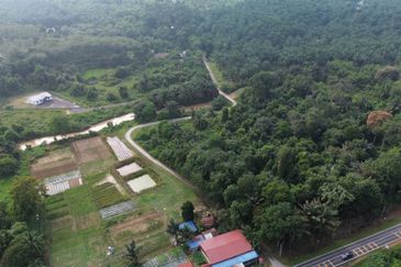 6.35 EKAR - Tanah Pertanian Tepi Jalan dan Landai untuk Dijual Berhadapan Kolej Komuniti Rembau