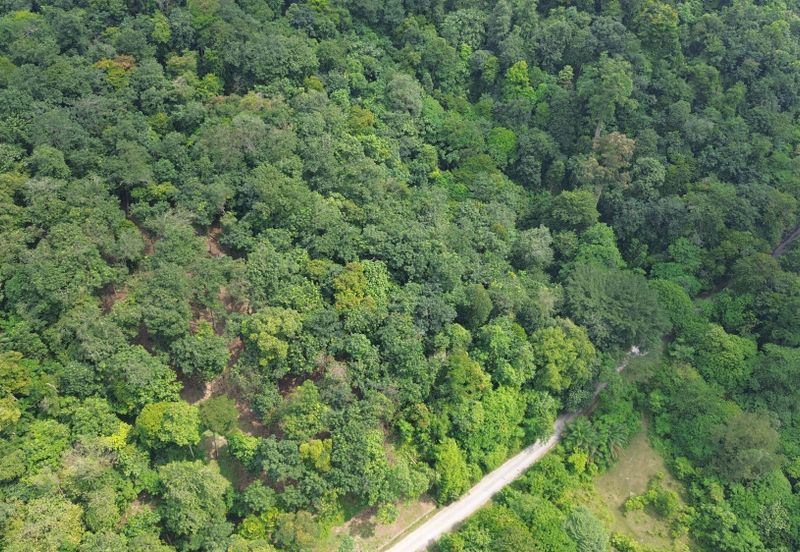 Palimbayan Heights - Sg Penchala - TANAH PERTANIAN - 0.9625 acres - 40,358 sq ft