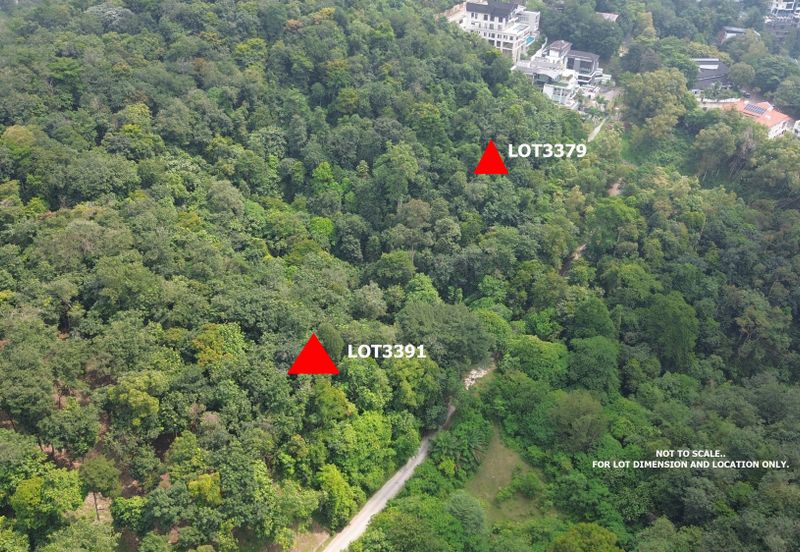 Palimbayan Heights - Sg Penchala - TANAH PERTANIAN - 0.9625 acres - 40,358 sq ft