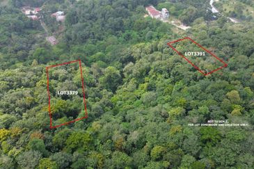 Palimbayan Heights - Sg Penchala - TANAH PERTANIAN - 0.9625 acres - 40,358 sq ft