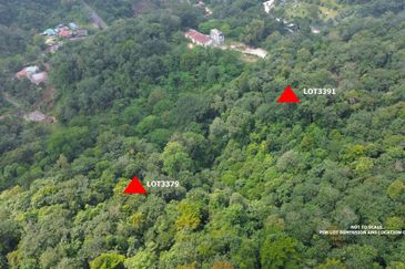 Palimbayan Heights - Sg Penchala - TANAH PERTANIAN - 0.9625 acres - 40,358 sq ft