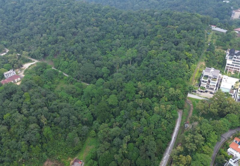 Palimbayan Heights - Sg Penchala - TANAH PERTANIAN - 0.9625 acres - 40,358 sq ft