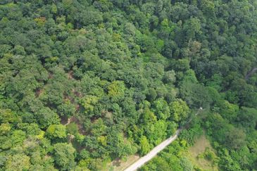 Palimbayan Heights - Sg Penchala - Tanah Pertanian untuk Dijual