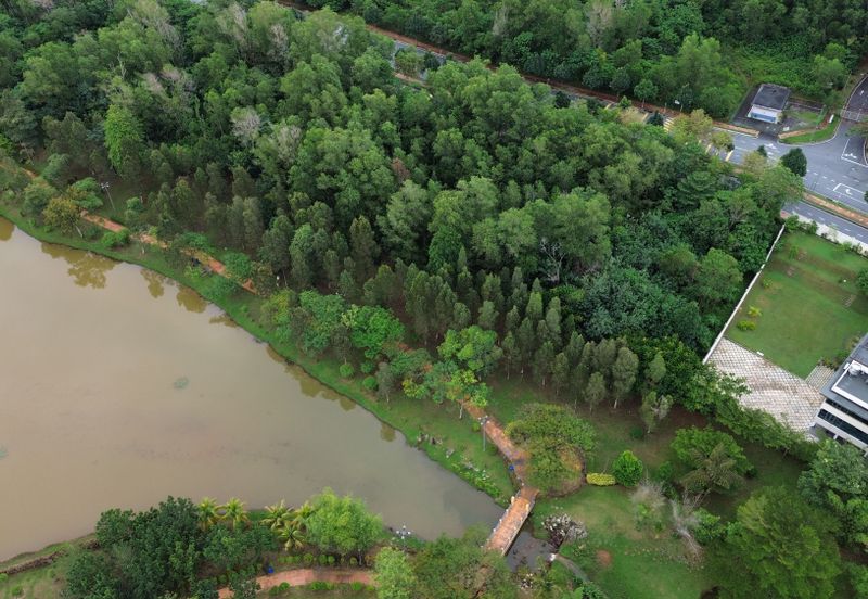 Jalan Rimba Riang 9/1