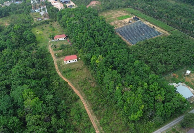 Incredible Deal: Prime Agricultural Land for Sale in Labu Batu 8 N.Sembilan!