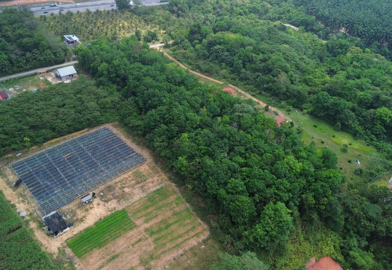 Incredible Deal: Prime Agricultural Land for Sale in Labu Batu 8 N.Sembilan!