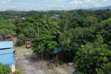 🌿 RM22 per sq ft - TANAH PERTANIAN UNTUK DIJUAL – KG KUBU GAJAH, SG BULOH 🌿