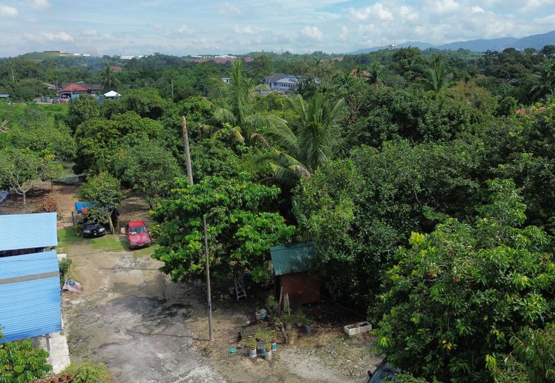 🌿 RM22 per sq ft - TANAH PERTANIAN UNTUK DIJUAL – KG KUBU GAJAH, SG BULOH 🌿