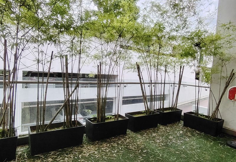 Saville @ The Park - Twin Villa