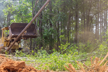 Kampung Seri Cheeding