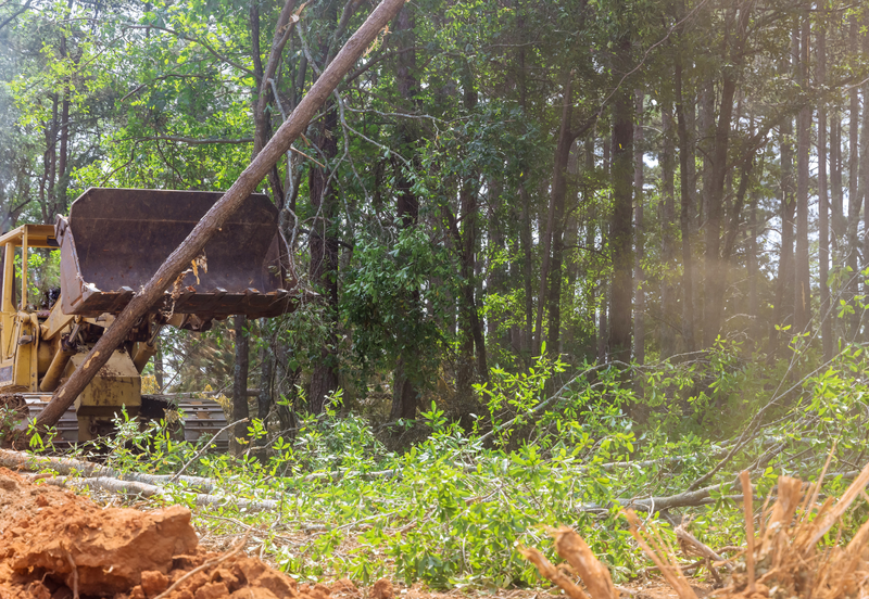 5 Acres Exclusive Residential Land for Sale