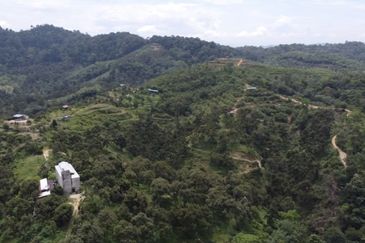 Bentong, 150.03 acres OPEN FOR TENDER