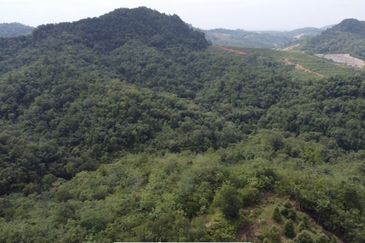 Bentong, 150.03 acres OPEN FOR TENDER