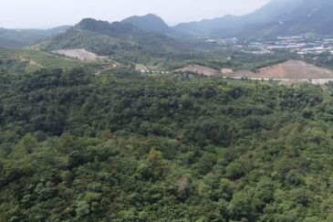 Bentong, 150.03 acres OPEN FOR TENDER