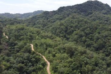 Bentong, 150.03 acres OPEN FOR TENDER