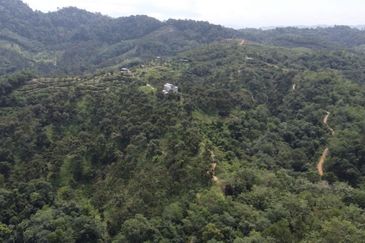 Bentong, 150.03 acres OPEN FOR TENDER