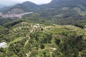 Bentong, 150.03 acres OPEN FOR TENDER