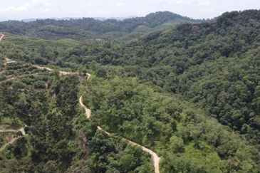 Bentong, 150.03 acres OPEN FOR TENDER