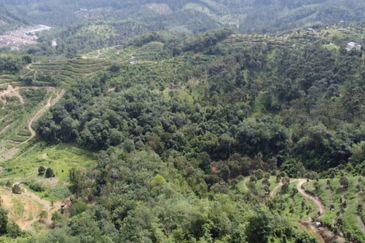 Bentong, 150.03 acres OPEN FOR TENDER
